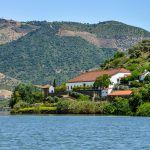 Symington_Vesuvio Winery_our-wineries