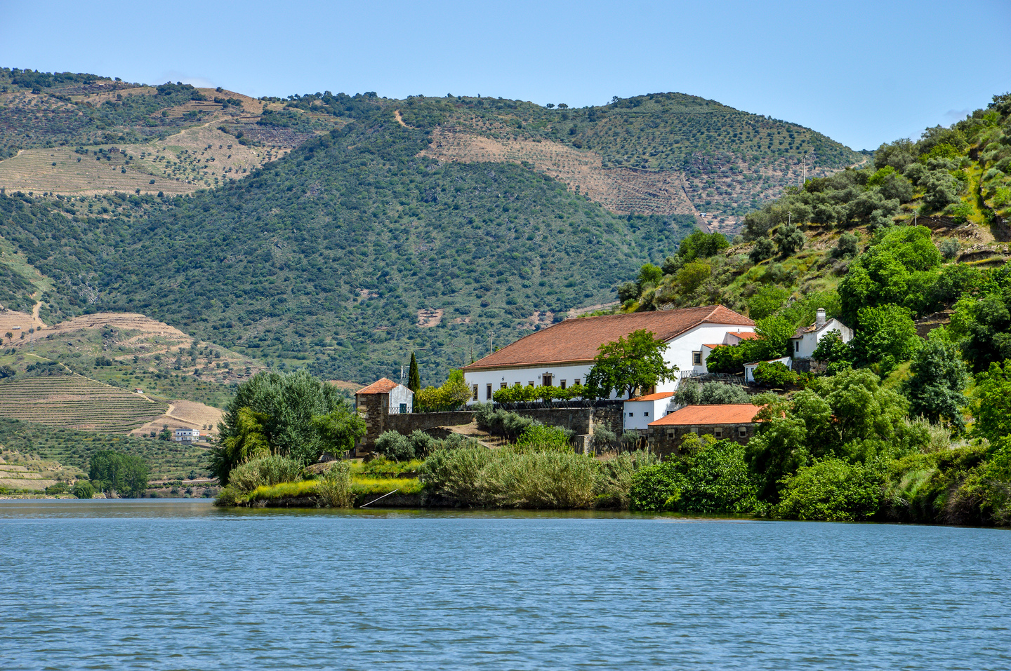 Symington_Vesuvio Winery_our-wineries