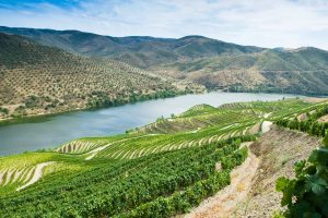 Rozes_Douro_5